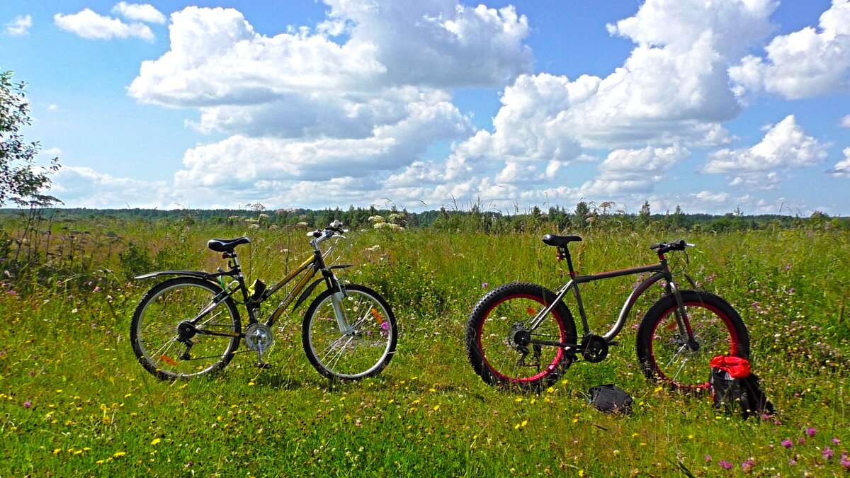 B1 на колесах 26x4.0 в сравнении с велосипедом на обычных 26x1.9.