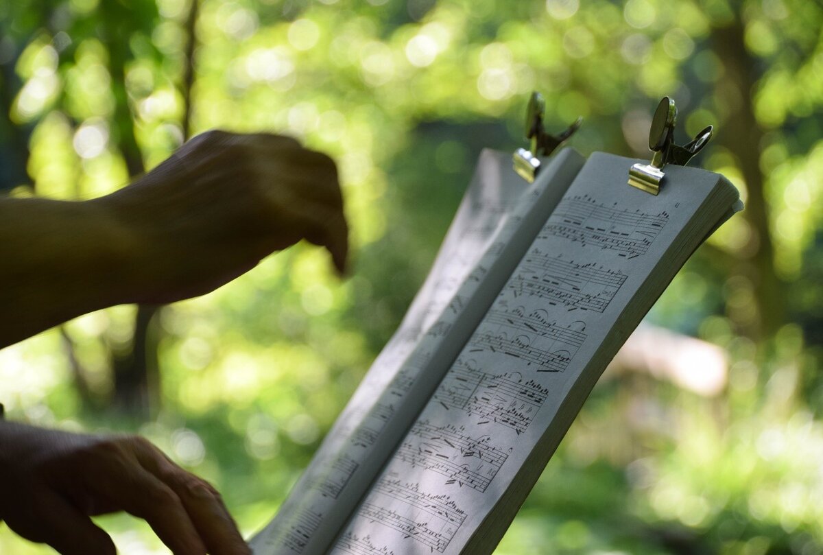 Мы с раннего детства приобретаем способность к пониманию того, как связаны звуки между собой, и какие ноты лучше сочетаются друг с другом. Фотография: Flickr, CC BY-SA 2.0