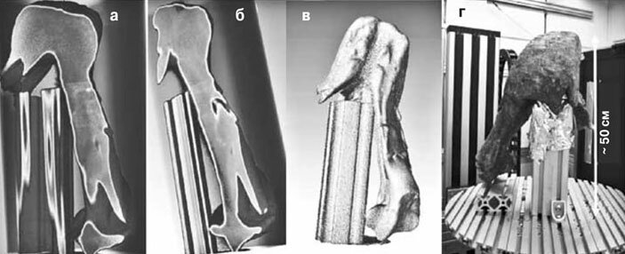 Нейтронная реконструкция черепа штекелерии и сам череп (справа). Фото: Malgorzata Makowska, Michael Laaß, Ingmar Werneburg  