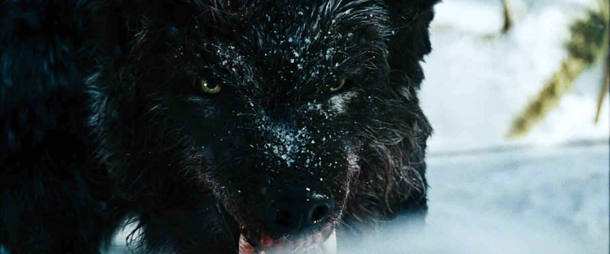 Фильм Схватка.