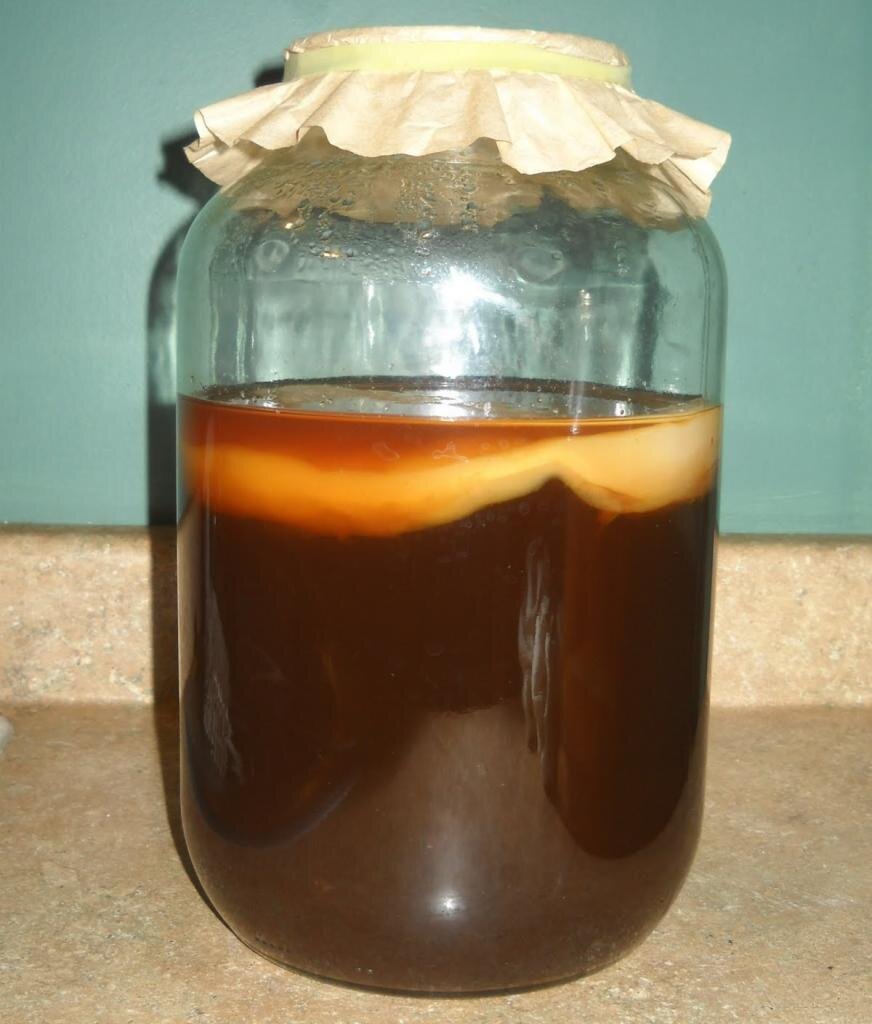 Лечение чайным грибом: собтвенный опыт и авторские рекомендации (часть ...