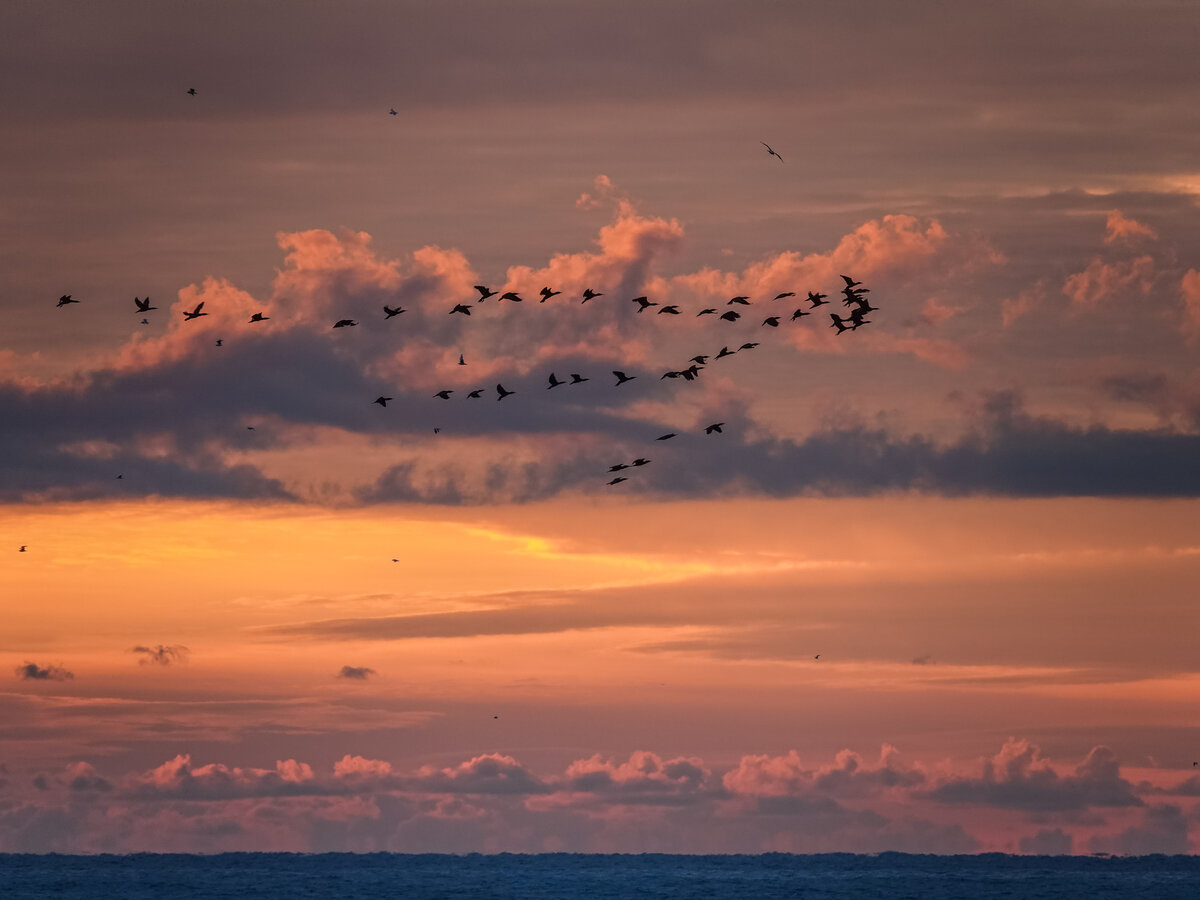 Рассвет зимой. Рассвет 15 января. Радуга зимой. Гало — зимняя радуга в сангаре, якутия. Должанка закат.