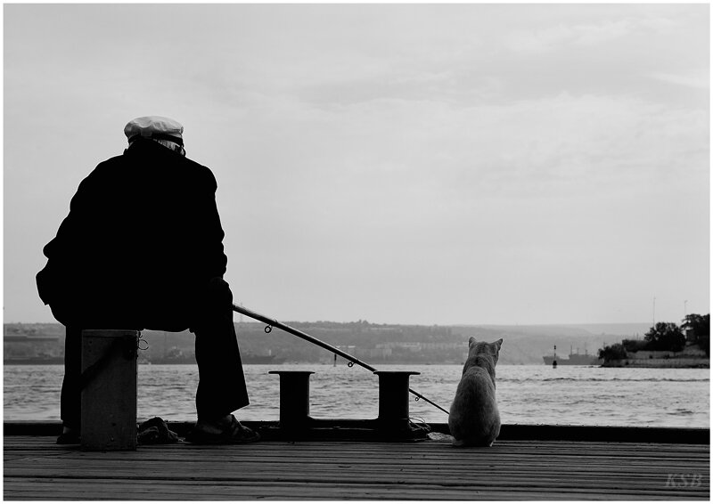 (фото взято из сети интернет)