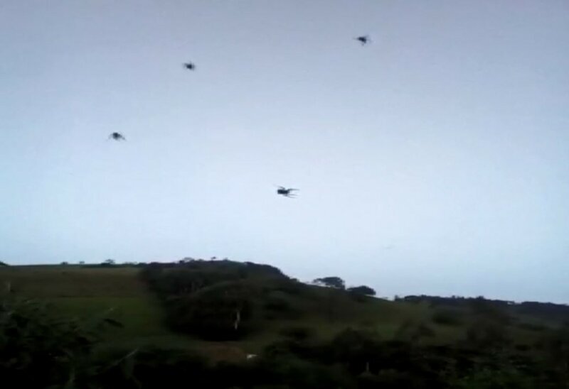 Местный житель Бразилии запечатлил на свою камеру, как пауки «свисали» с неба (Видео, фото)