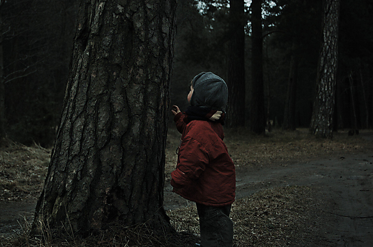 Слава жил возле леса. Мальчик в лесу. Мальчик заблудился в лесу. Девочка в лесу. Мальчик потерялся в лесу.