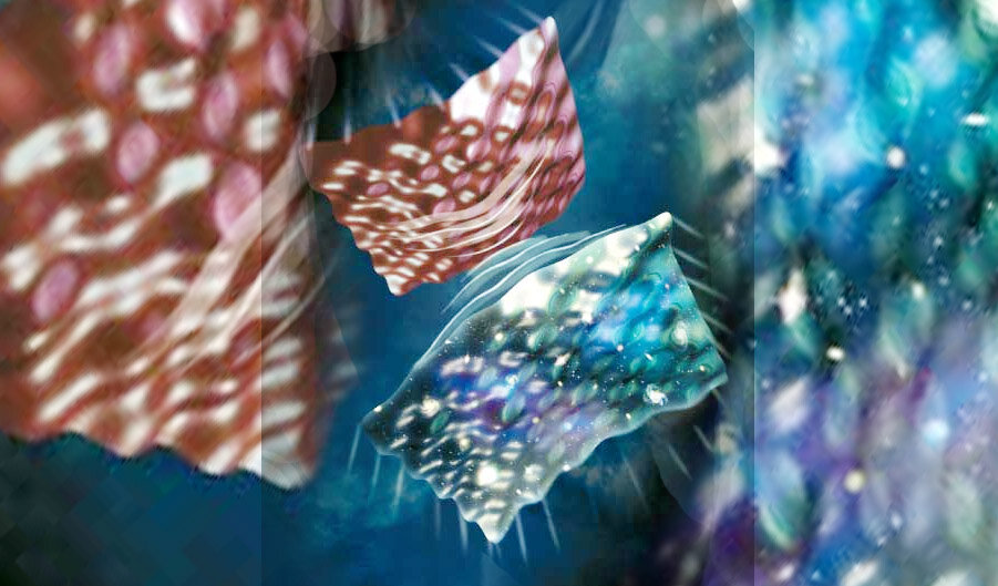 Соприкосновение двух бран породило наш мир