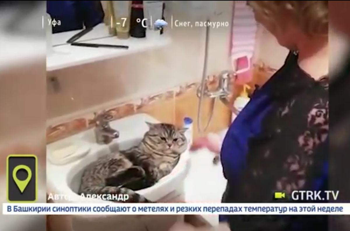 Кадр видео youtube.com/Филиал ВГТРК ГТРК "Башкортостан"