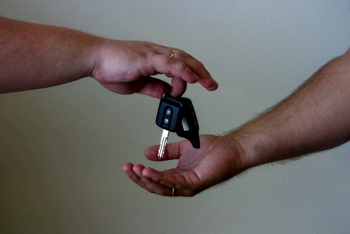 Источник фото: Фотобанк Moscow-Live.ru (https://www.flickr.com/photos/moscow-live)