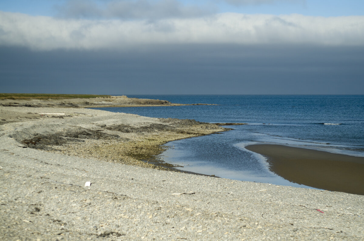 Берега того самого залива