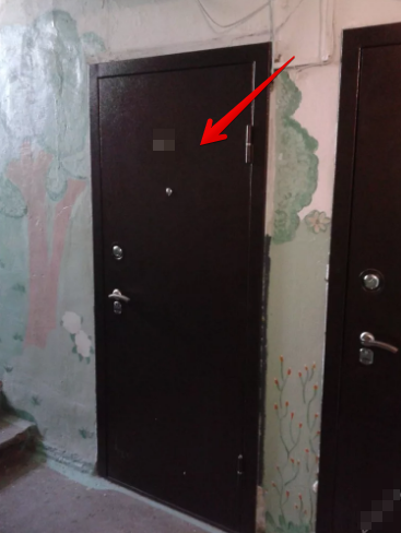 Железная входная дверь