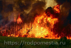 Лесной пожар