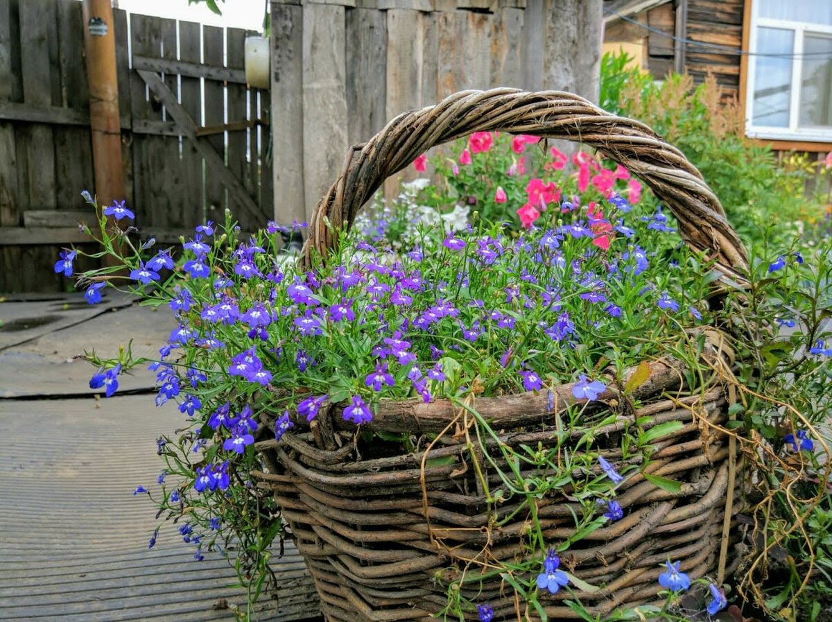 фото из личного архива