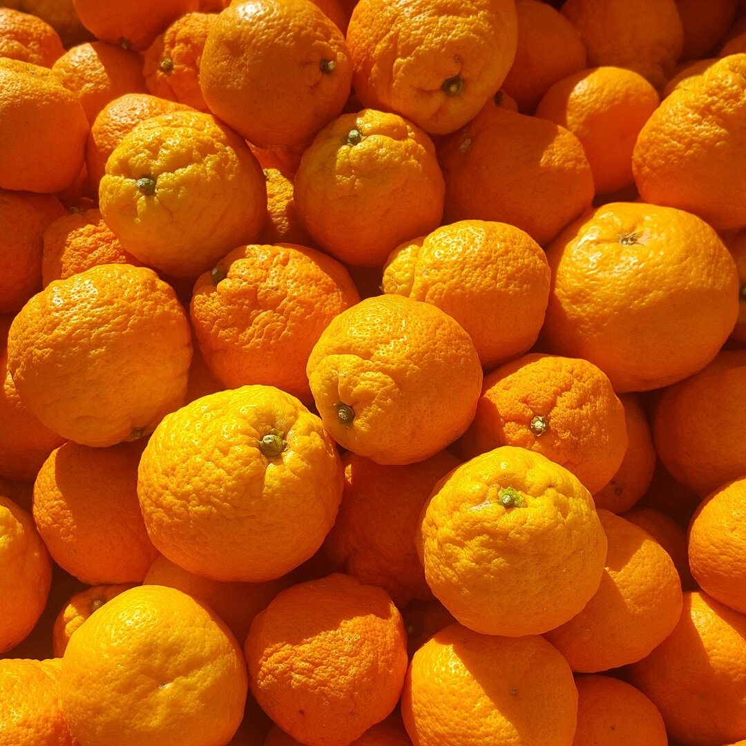 90 килограммов апельсинов. В магазин завезли фрукты 90 апельсинов. Украинские продукты. В магазин завезли фрукты 90 апельсинов. Дешёвые продукты в апельсине.