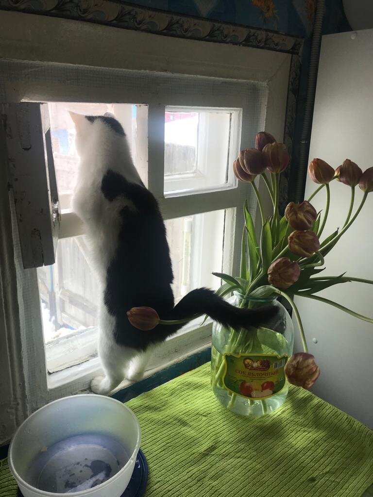 Зовёт своего ухажёра! 