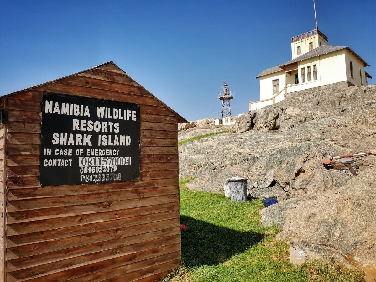 Shark island