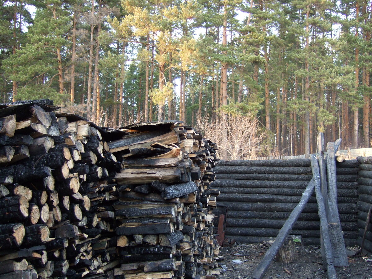 Чёрные дрова. Угольные, грязные. Зато бесплатные и их до конца жизни хватит. 