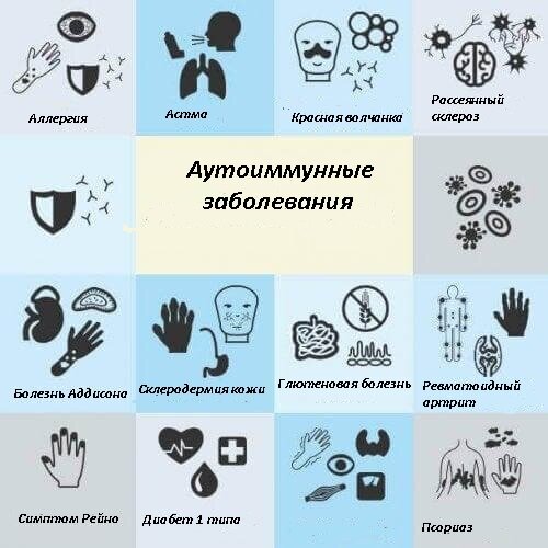 Фото: iStockPhoto