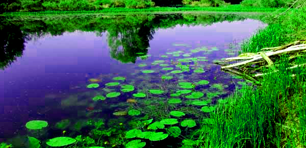 Иллюстрация из открытого источника