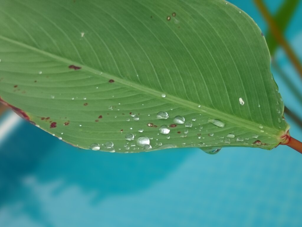 Фото из личного архива