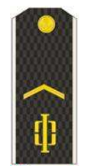 Фотографии взяты из открытых источников