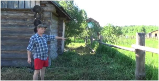 Рис. 1 - Скошенная трава