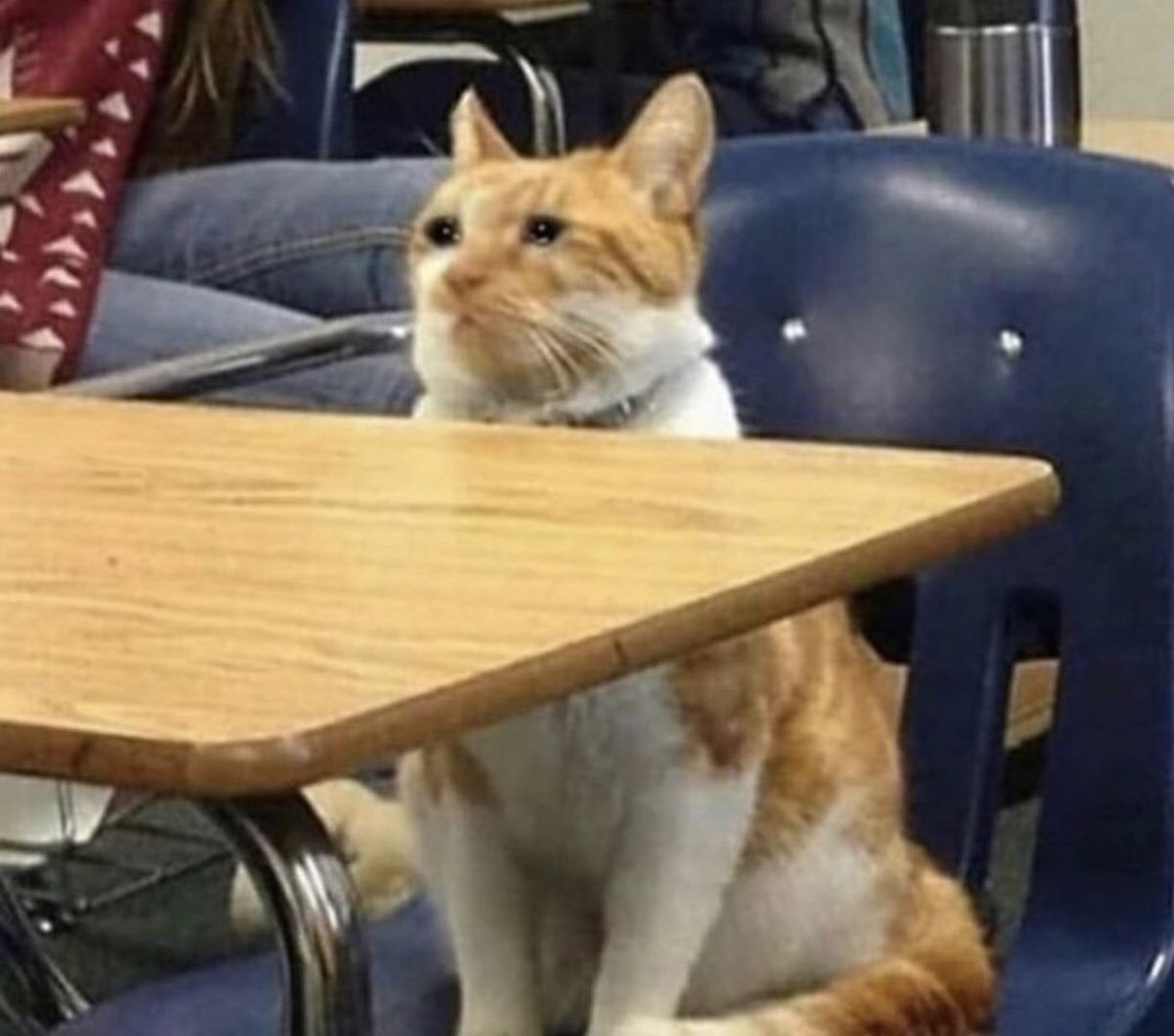 Это я! Когда мне поставили двойку на флористике. Видите ли ромашку с васильком перепутал. 