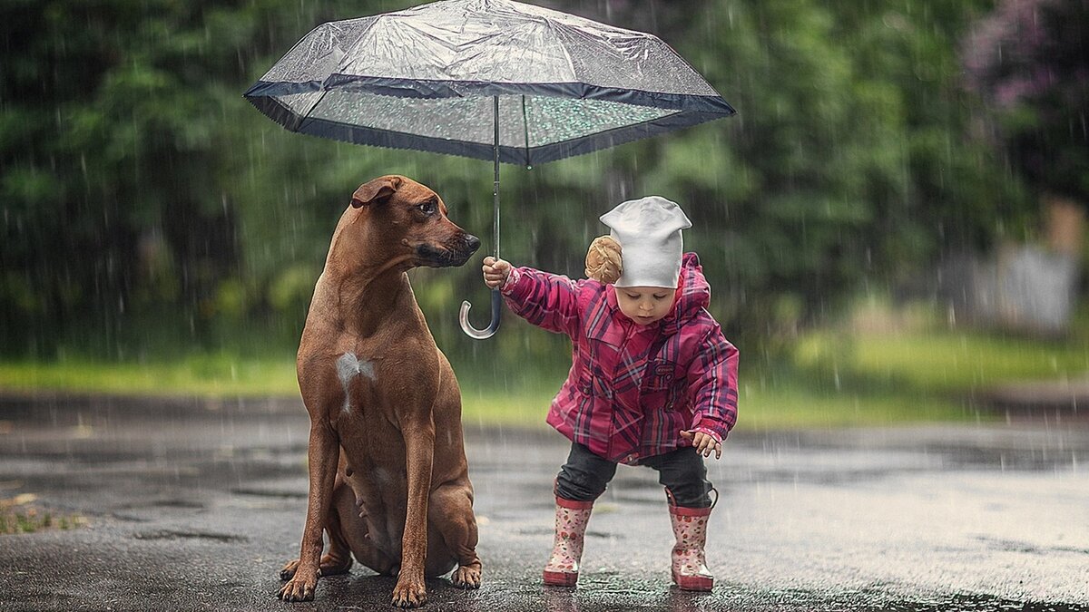 Идея такая: ты получаешь много чего, если живёшь с чистой совестью. Крещение — лишь первый шаг на этом пути.