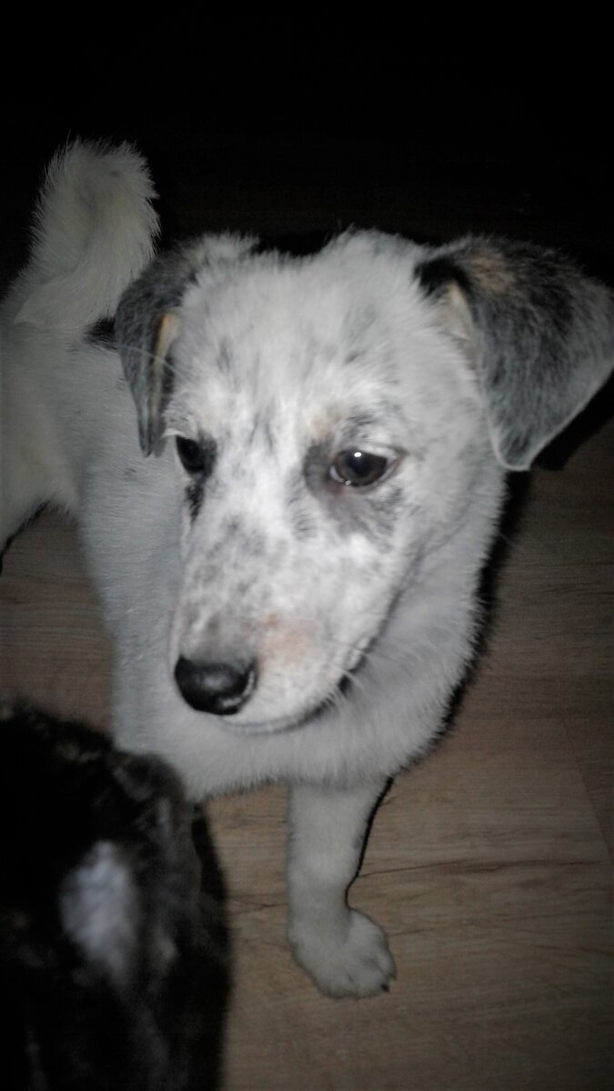 Фото из личного архива