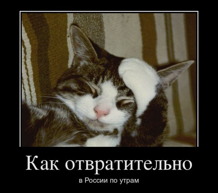 Коллаж найден поисковиком "Яндекс" в свободном доступе.