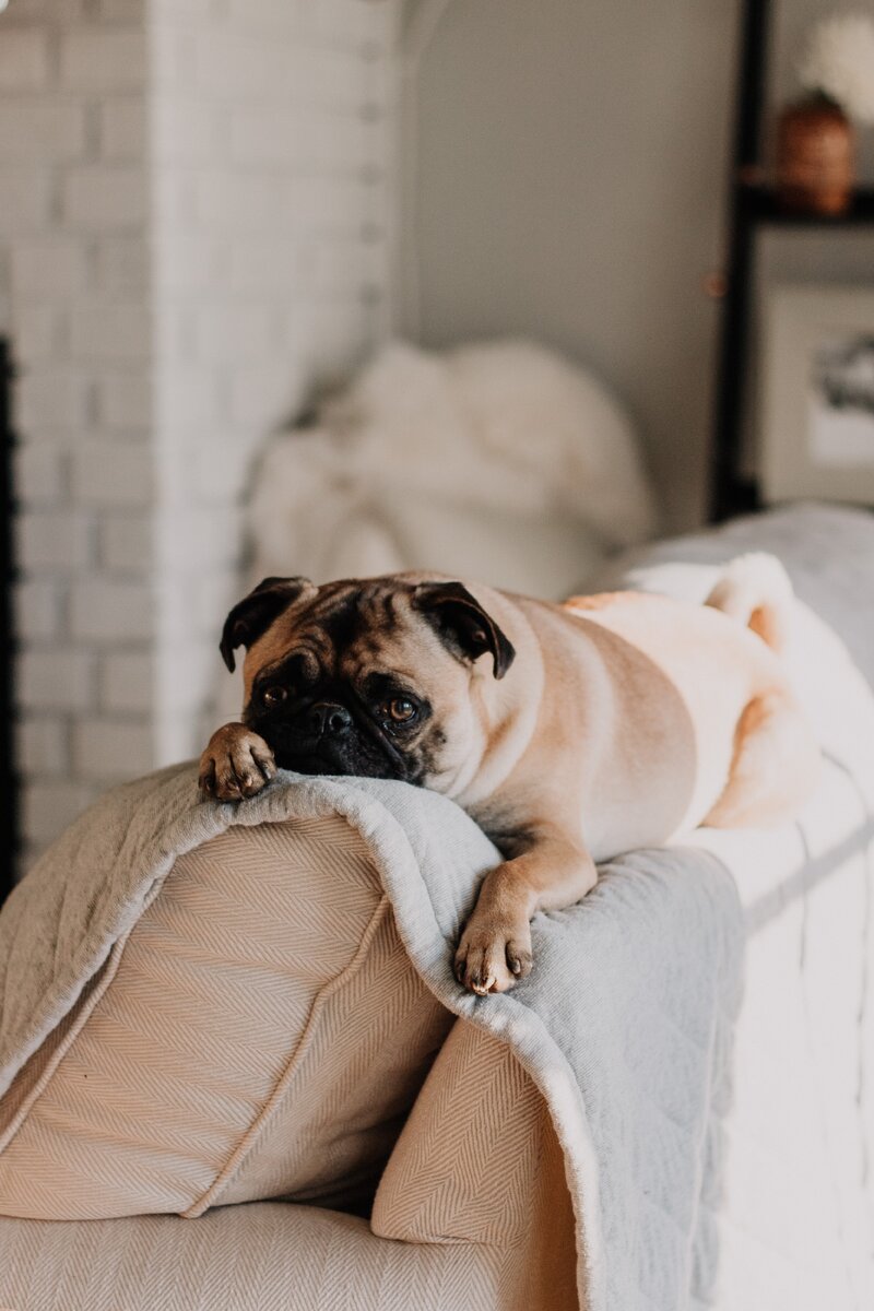 https://unsplash.com/photos/VYcDFMSkUAA sarandy westfall
