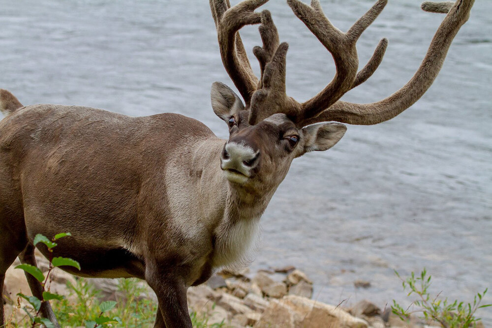 источник: ucrazy.ru