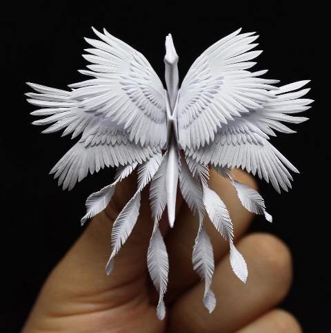 Фото из Яндекс-картинки