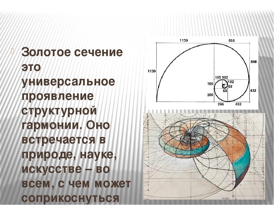 Принцип фибоначчи в дизайне