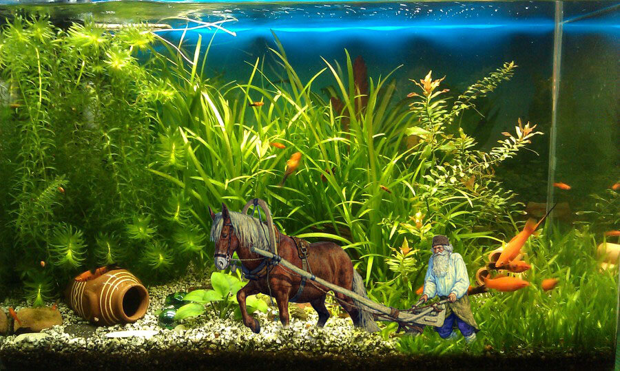 Коллаж Никиты Ш.