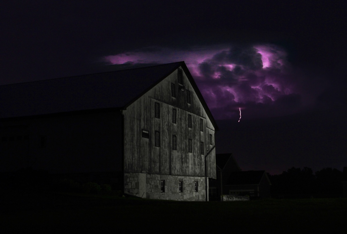 Фото Mitchell Bowser