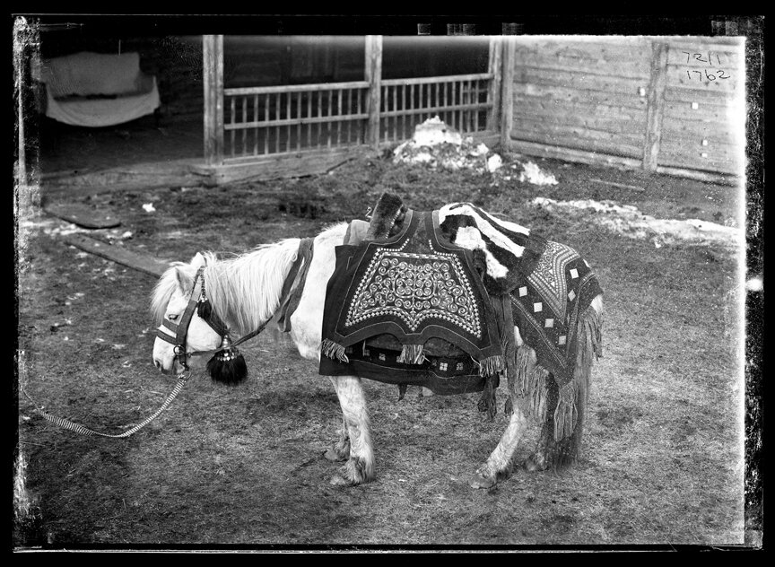 ���� 1902 ����. 