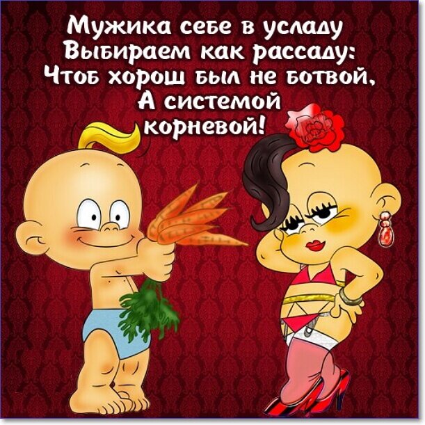 Картинка из интернета