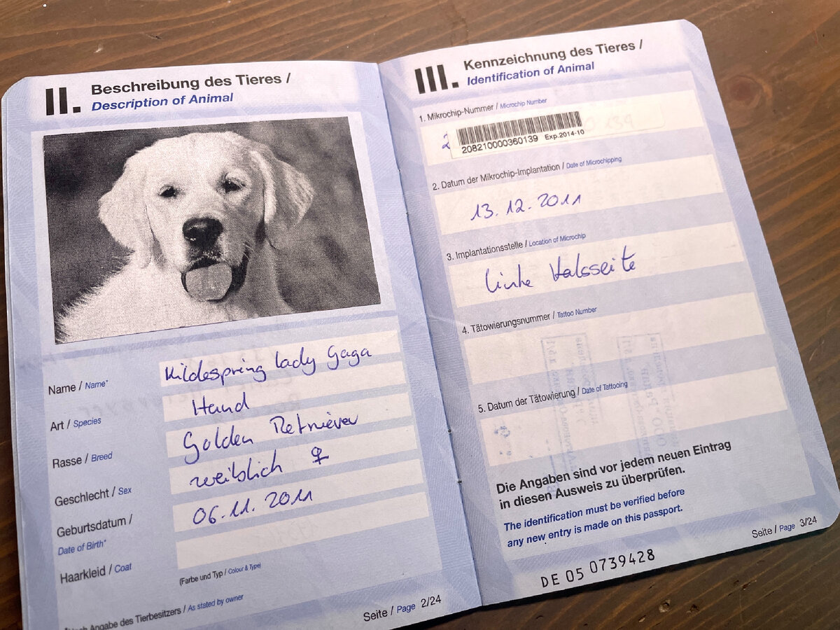 Наклейка с номером и штрихкодом микрочипа вклеивается в ветеринарный паспорт собаки. Видите, справа вверху.