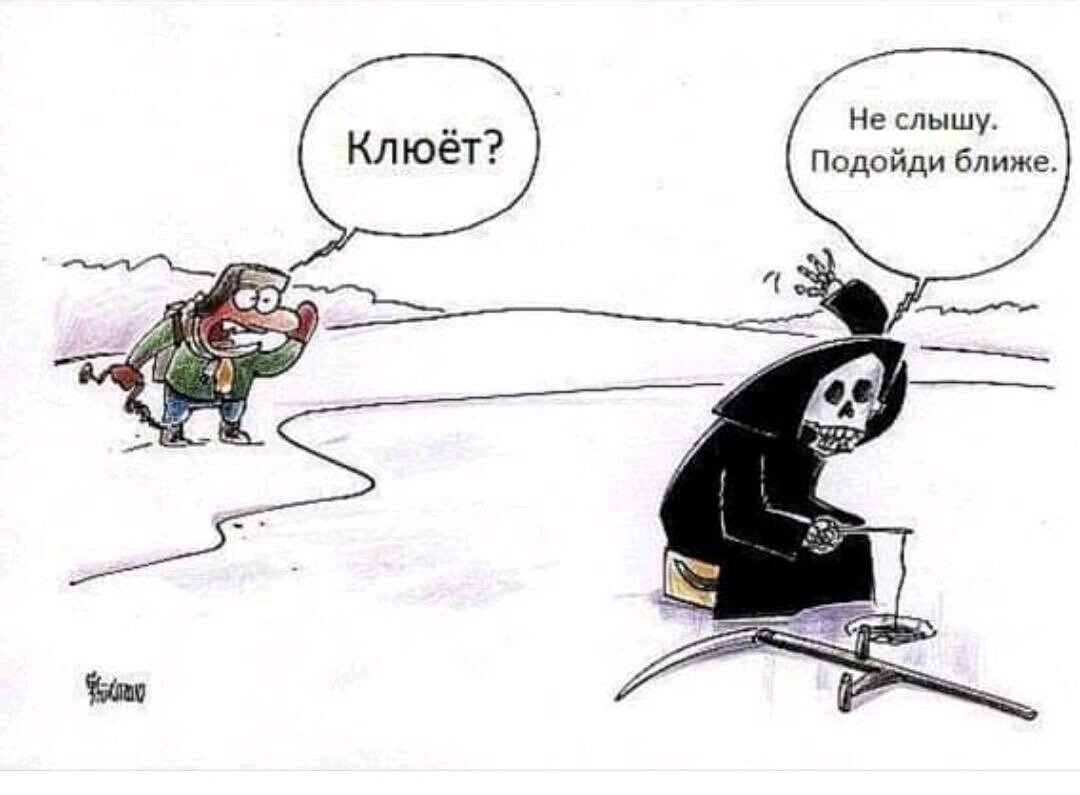 Тигрята фото. Подходи ближе. Опасные места. Близко не подойдешь. Близко не подойдешь.