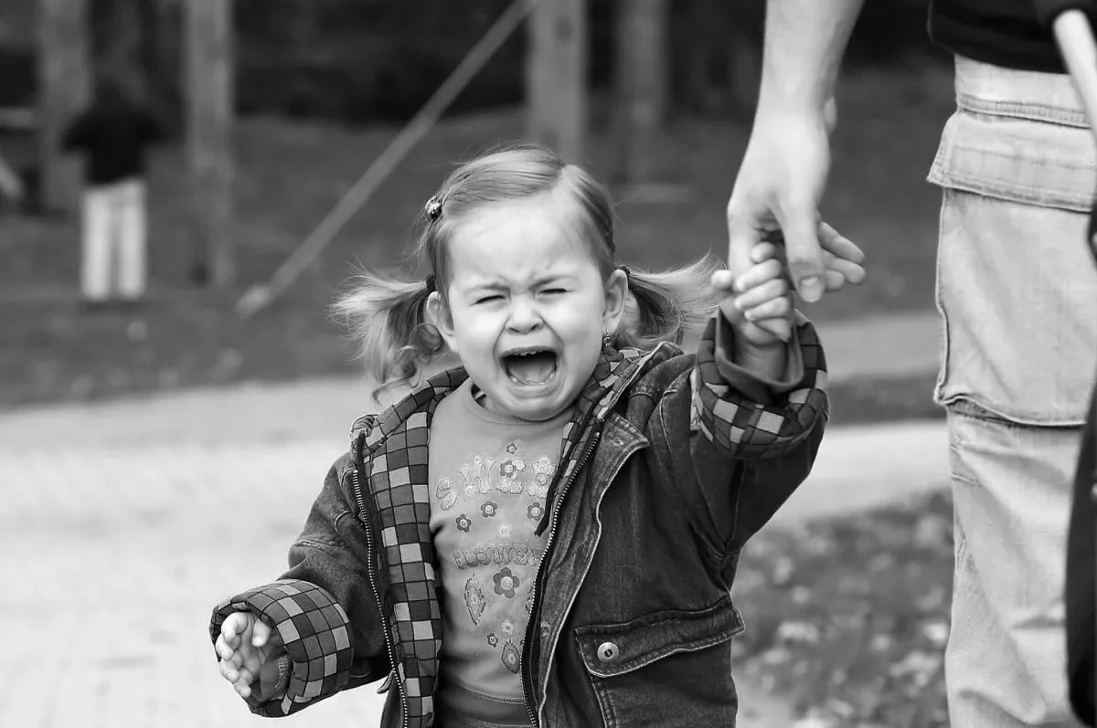 Картинка из открытого источника яндекс