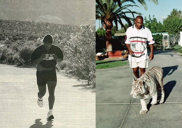 Если будешь много бегать, сможешь выгуливать тигра на поводке( но это не точно)