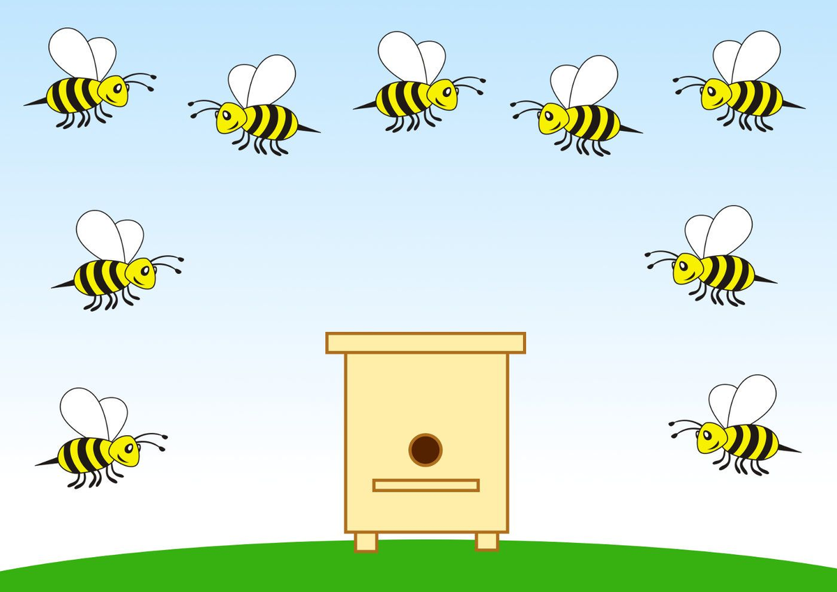 Занятие насекомые в старшей. Графомоторика пчела. Пчела рисунок. Ульи для пчел. Улей рисунок.