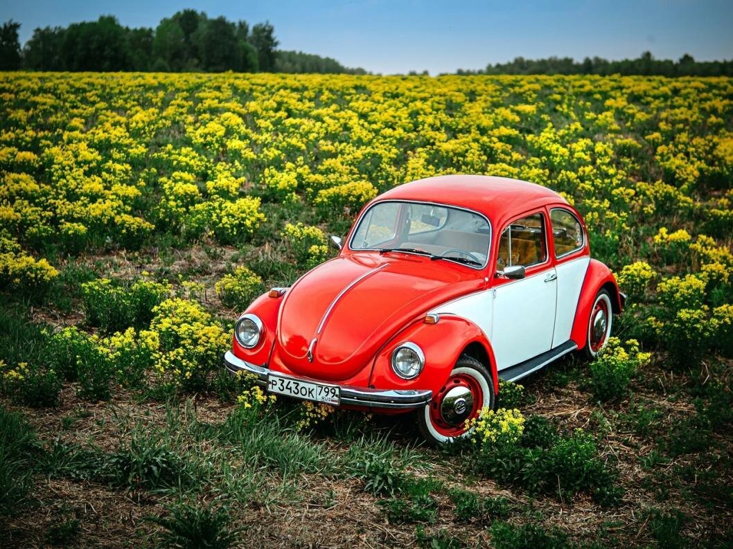 автор - Евгений Бушуев | Фото: из сообщества "Автоклуб «OldMotors Тюмень» во ВКонтакте (архив)