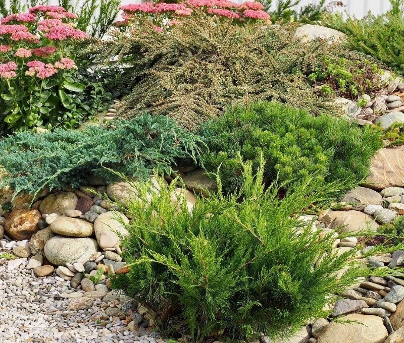 Источник фото https://www.instagram.com/p/CTzSo9voTNF/