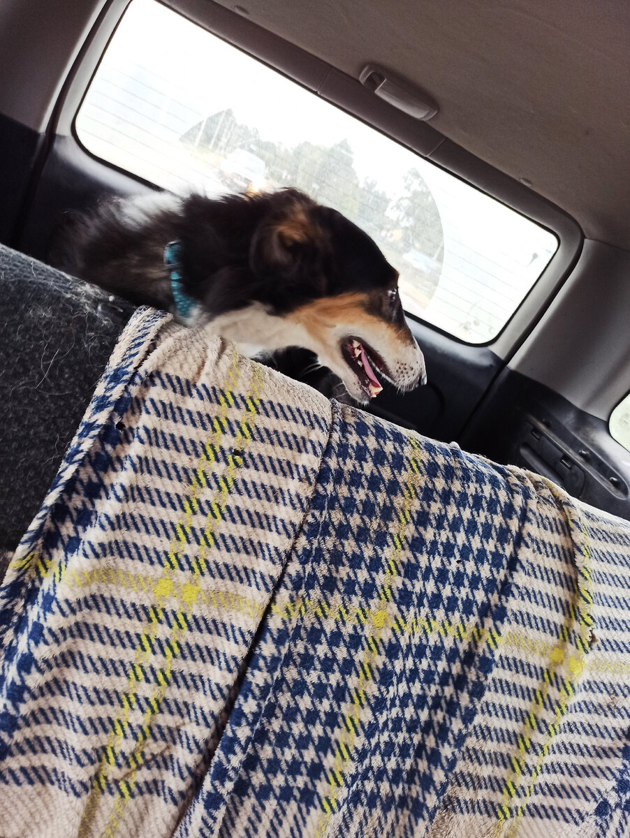 Личное фото автора