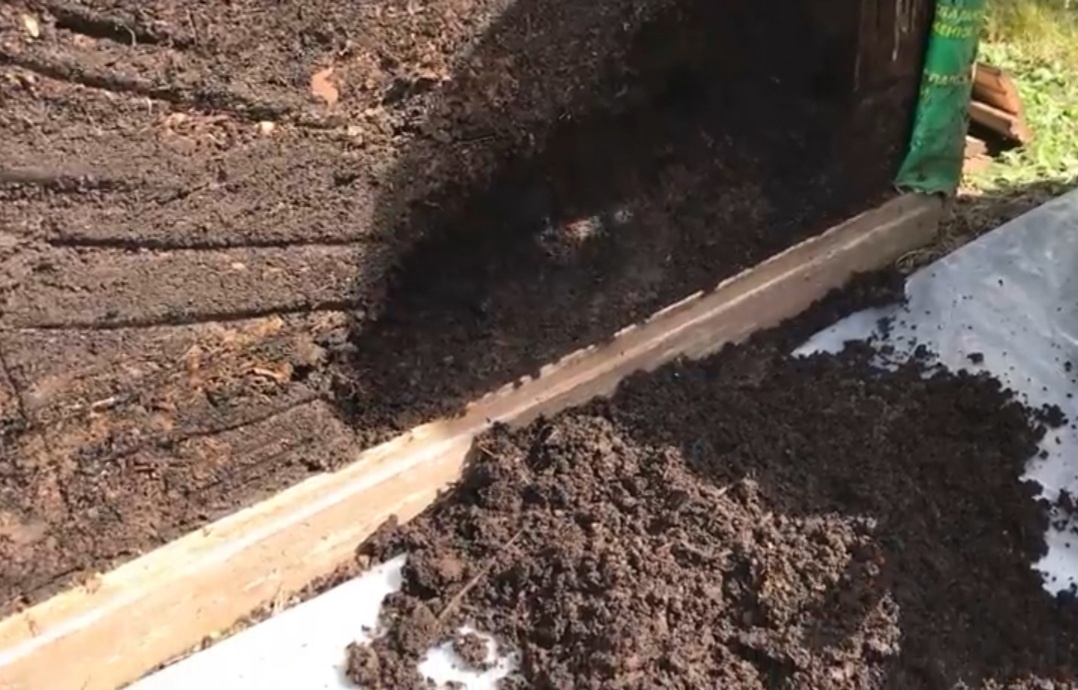 На выходе получаем ценное органическое удобрение и замечательную мульчу для своих растений