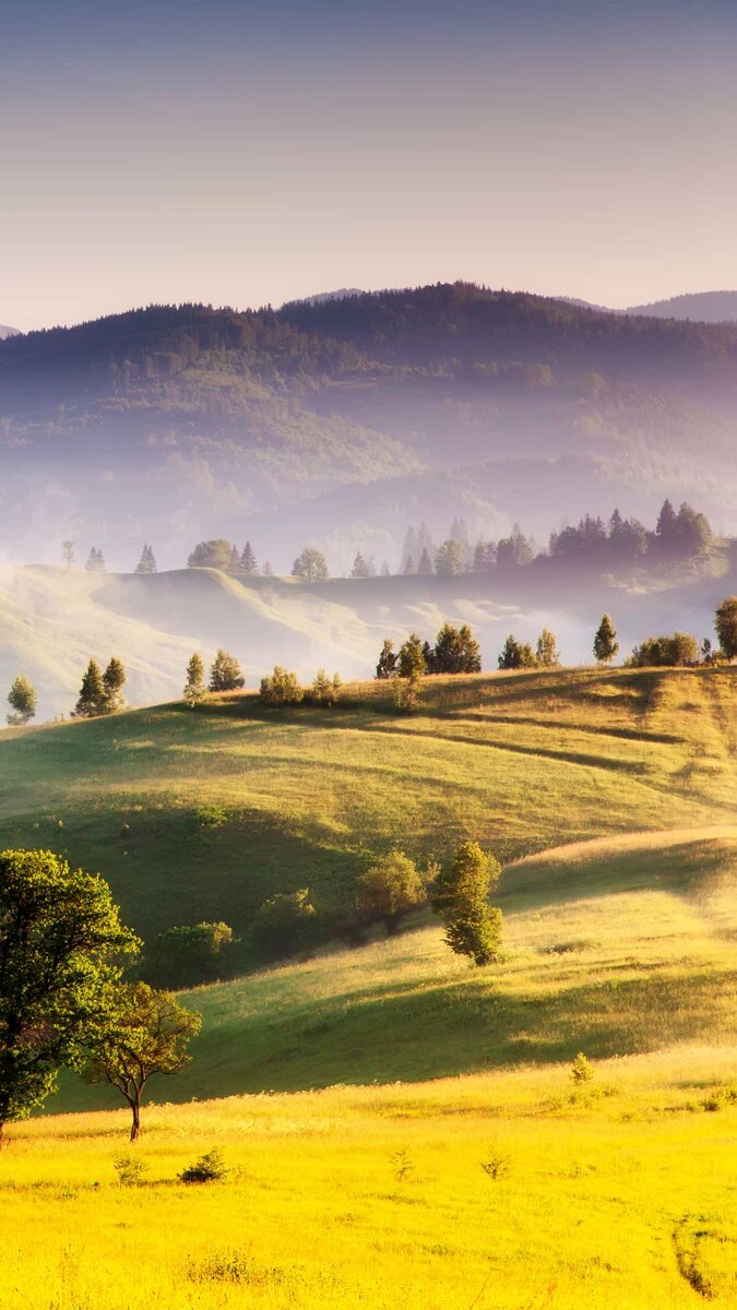Дело было на Кавказе. В горном ауле. Отец с сыном решили приобрести бензиновый генератор. С электричеством часто были перебои. Ну подумали, будет свой генератор, будет свет всегда. Как говориться, решено-сделано. Двинулись в ближайший рай-центр. На своем транспорте. Хочу заметить, транспорт у них высокой проходимости, ИШАК. Добрались до магазина, купили этот генератор, навьючили ишака и двинули домой. Добрались до дому к ночи. Подустали конечно же, сели ужинать ну и выпили малость. Поели, попили, ну и решили проверит как работает аппарат. До утра подождать конечно нельзя. Пошли к ослу, так как осла они еще не разгрузили и решили прям на него и завести генератор. А что, удобно так, высоко лежит. Генератор завелся с пол тычка, и как затарахтит, ишак бедный со страху и рванул в лес. Что делать, нужно искать его. Искали долго и упорно. Во второй половине дня вышли к охотничьему домику. Там мужик.Решили поговорить.— Мужик, ты нашего ишака не видел? - Нет, ишака вашего не видал. Тут ночью дебил какой то без фар на мотоцикле пол ночи туда сюда ездил. В общем так его и не нашли. Правда в конце дня ишак сам вернулся домой уже заглохшим генератором. Бензин кончился. За что получил ведро комбикорма и кличку мотоциклист.