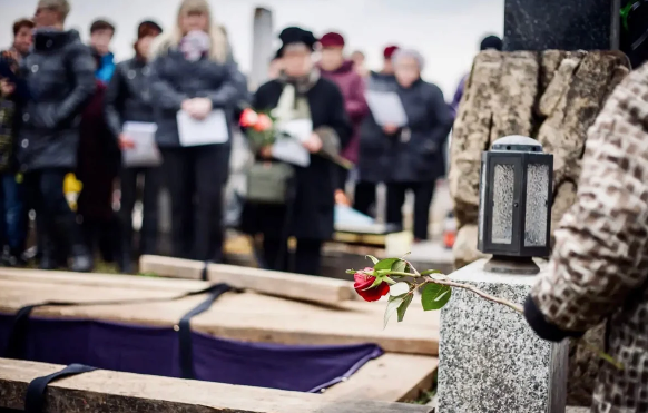 Добавьте описание