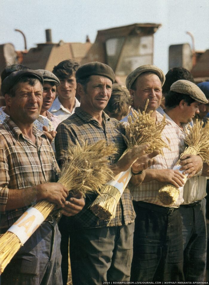 Фото из свободных источников