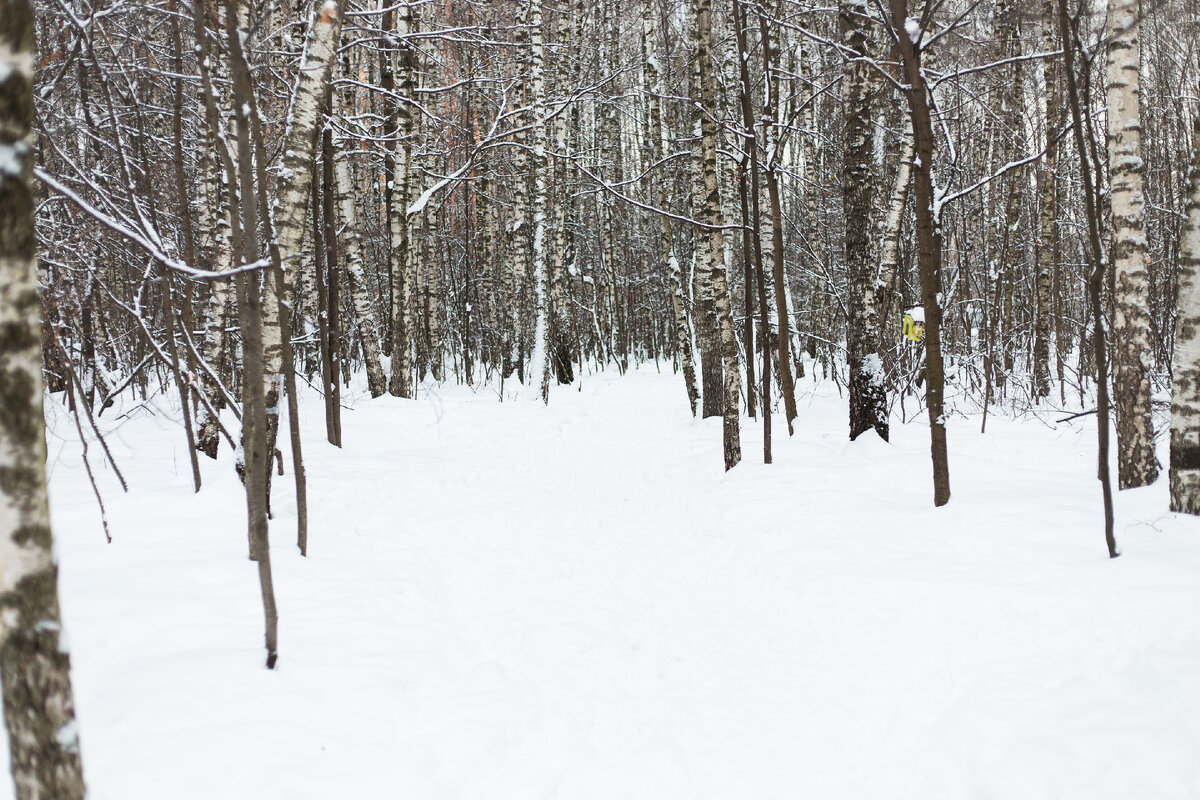 Фото: Ангела Толстова (Pushba)